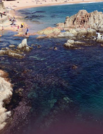 Camí de ronda