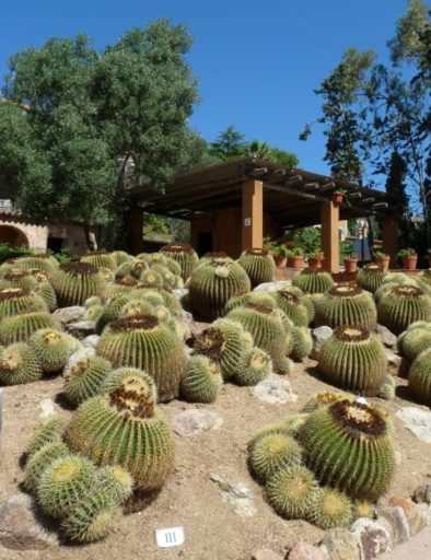 Jardí botànic Pinya de Rosa